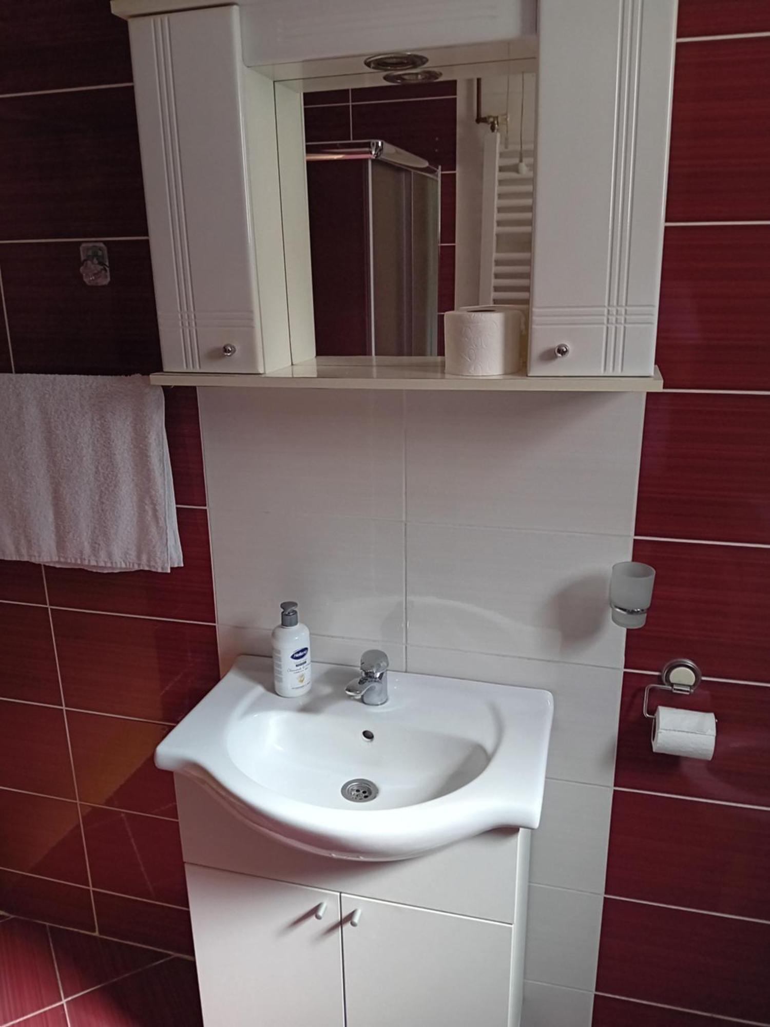 Apartmani Nikolic Βίσεγκραντ Εξωτερικό φωτογραφία